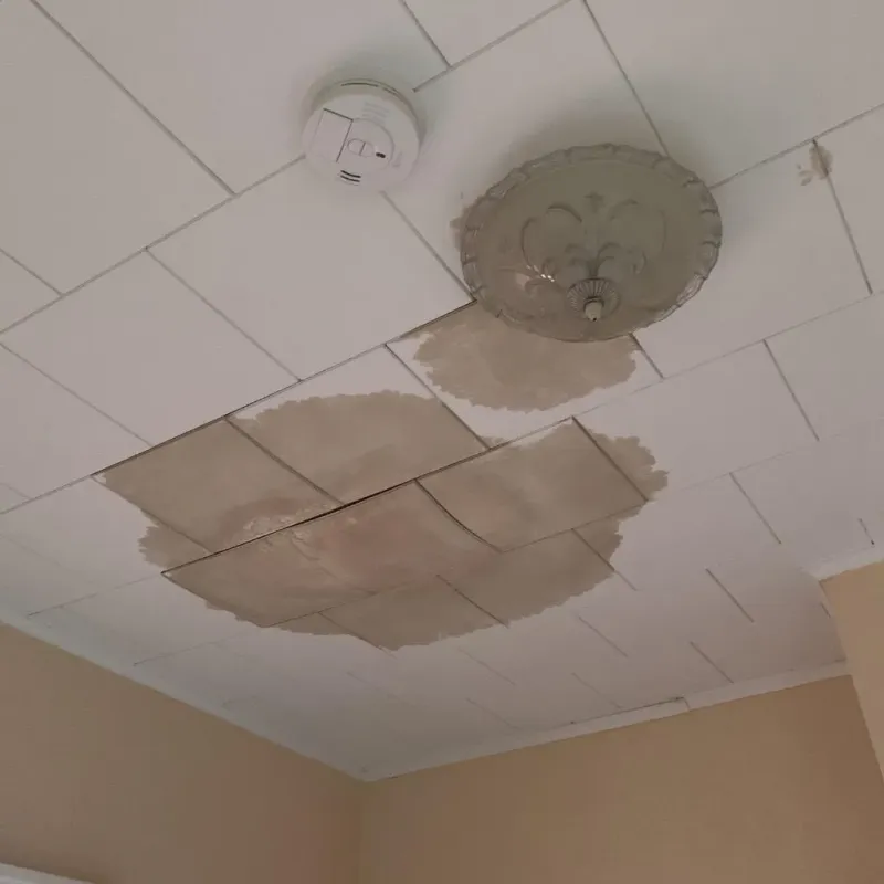 Ceiling Water Damage Repair in Seven Corners, VA