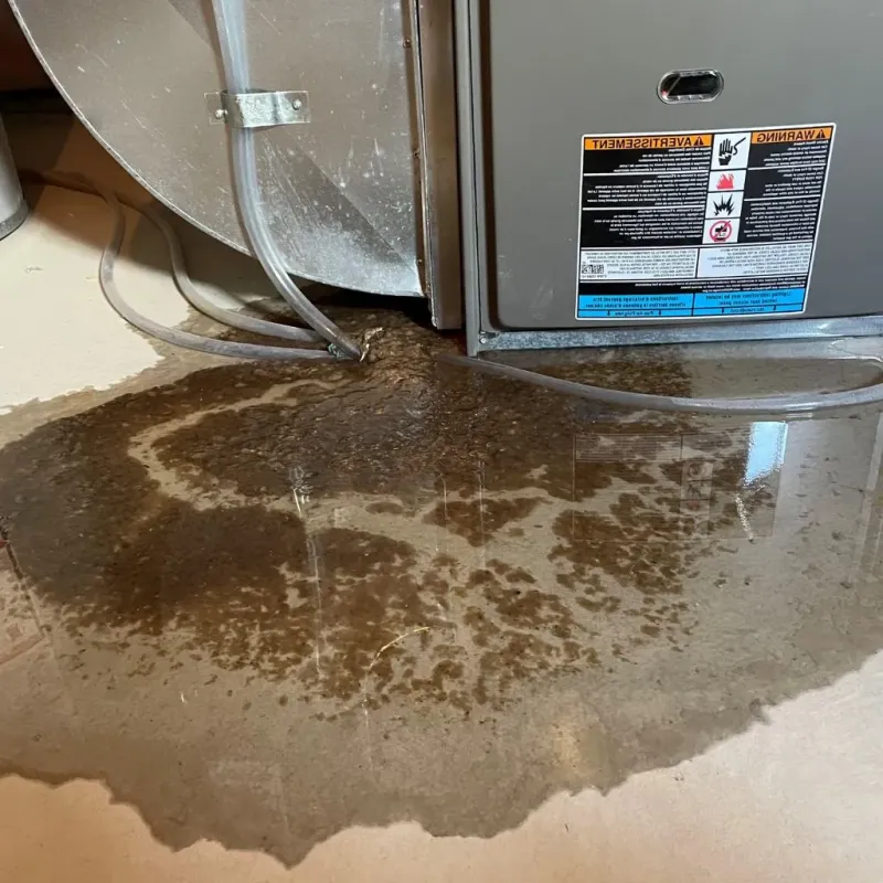 Pipe Burst and Leak Restoration in Seven Corners, VA